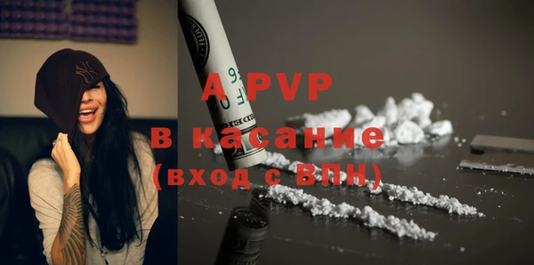 прущие грибы Балабаново