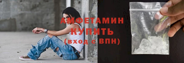 прущие грибы Балабаново
