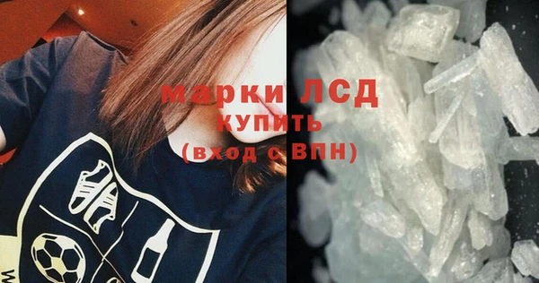 прущие грибы Балабаново