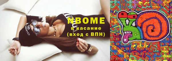 прущие грибы Балабаново