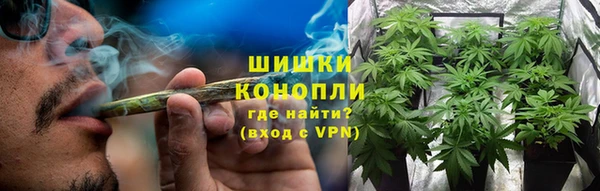 прущие грибы Балабаново