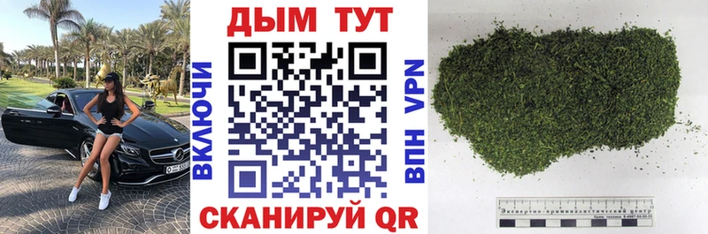 Марихуана сатива  хочу   Холмск 